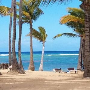 Meet your Posher, Deanna